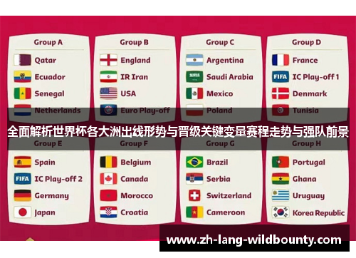 全面解析世界杯各大洲出线形势与晋级关键变量赛程走势与强队前景