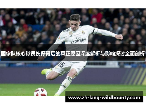 国家队核心球员伤停背后的真正原因深度解析与影响探讨全面剖析